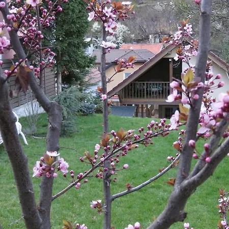 Sakka House